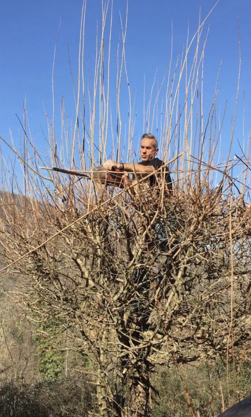 Spring is when the pruning starts